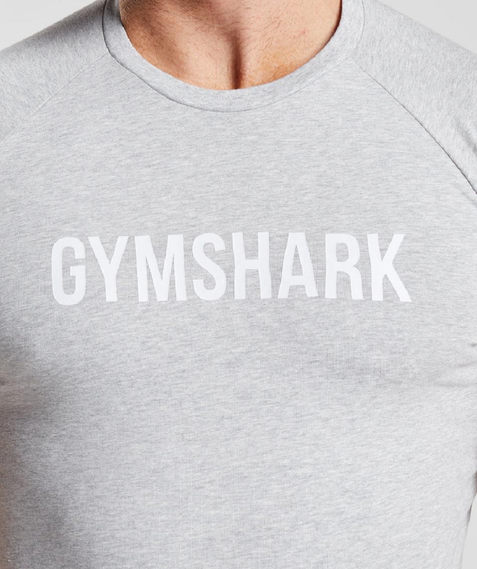 Gymshark Apollo Muške T Shirts Svijetlo Sive | HR 2432EBC